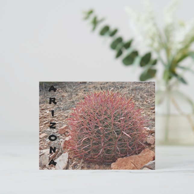 Pflanze Arizona Gruß Postkarte (Stehend Vorderseite)