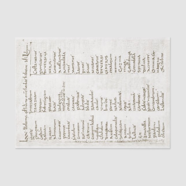 Pflanze aus dem 8. Jahrhundert Seidenpapier (Vorderseite)