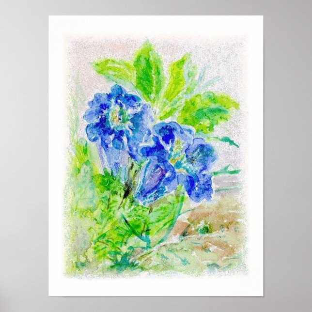 Pflanze blau Blüten Illustration Poster (Vorne)