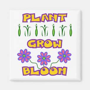 Pflanze blühen Zitat rosa Blume Gelber Text Magnet
