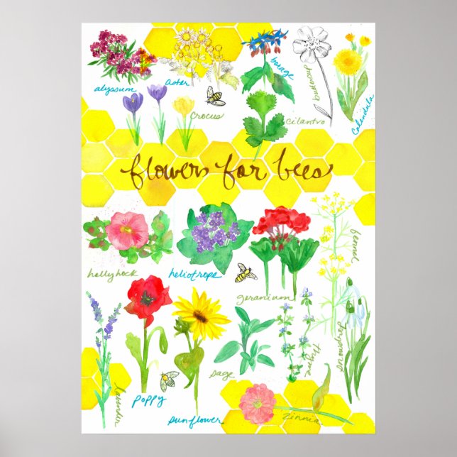 Pflanze Blume für Bienen-Honigwabe Wasserfarbe Poster (Vorne)