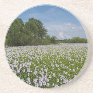 Pflanze-/Blume-Reihe - Blume auf dem Untersetzer d