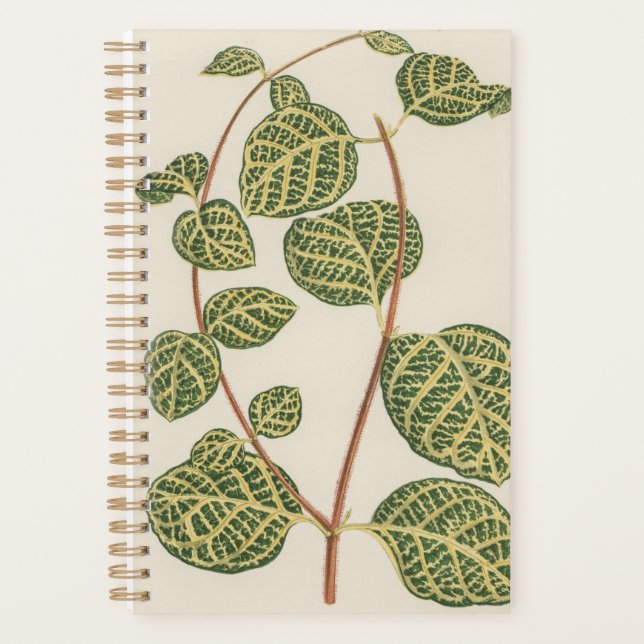 Pflanze Botanischer Mama Vater Planer (Vorderseite)