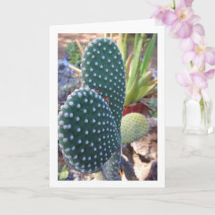 Pflanze Bunny Ears Cactus Karte