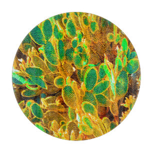 Pflanze der Wüste von Hot Africa Schneidebrett