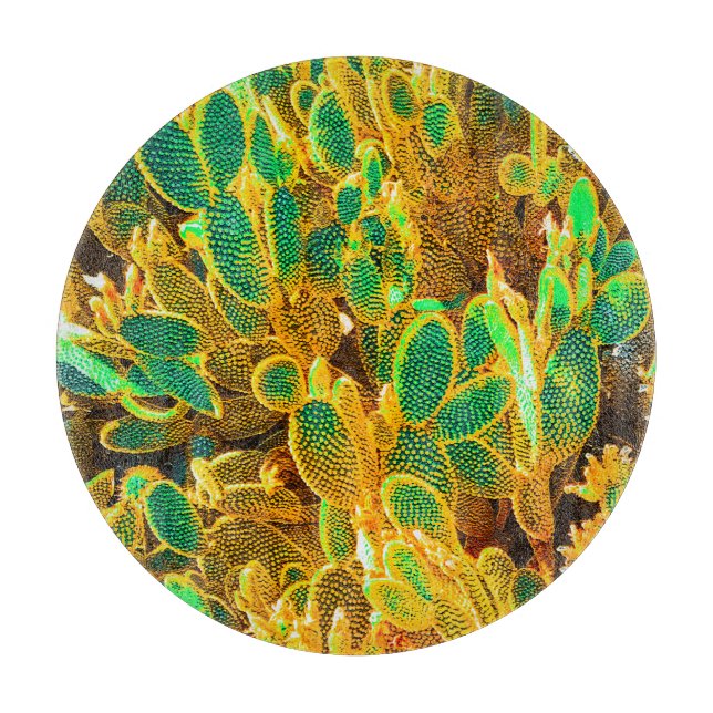 Pflanze der Wüste von Hot Africa Schneidebrett (Vorderseite)