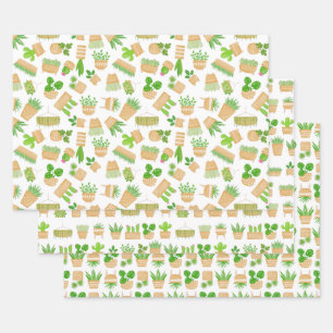 Pflanze des Hauses Kaktus auf weißem Umschlagpapie Geschenkpapier Set