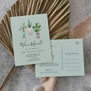 Pflanze des Potted House Minze, die wir bewegen Ankündigungspostkarte