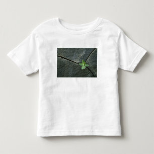 Pflanze, die in gebrochenem Boulder wächst Kleinkind T-shirt