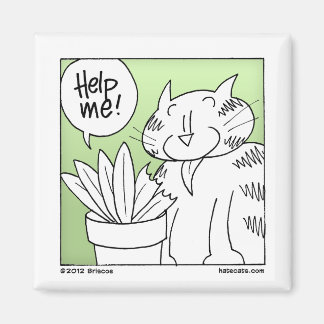 Pflanze Eater Cat Magnet