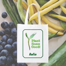 Pflanze Ein gutes, umweltschonendes Saatgut