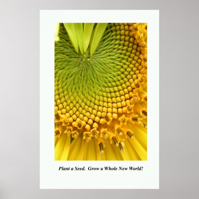 Pflanze ein Saatgut. Eine ganz neue Welt erschaffe Poster (Vorne)