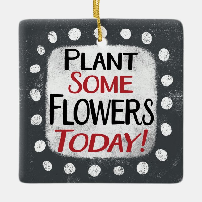 Pflanze Einige Blume Heute Ornament (Vorderseite)