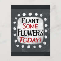Pflanze Einige Blume heute Postkarte