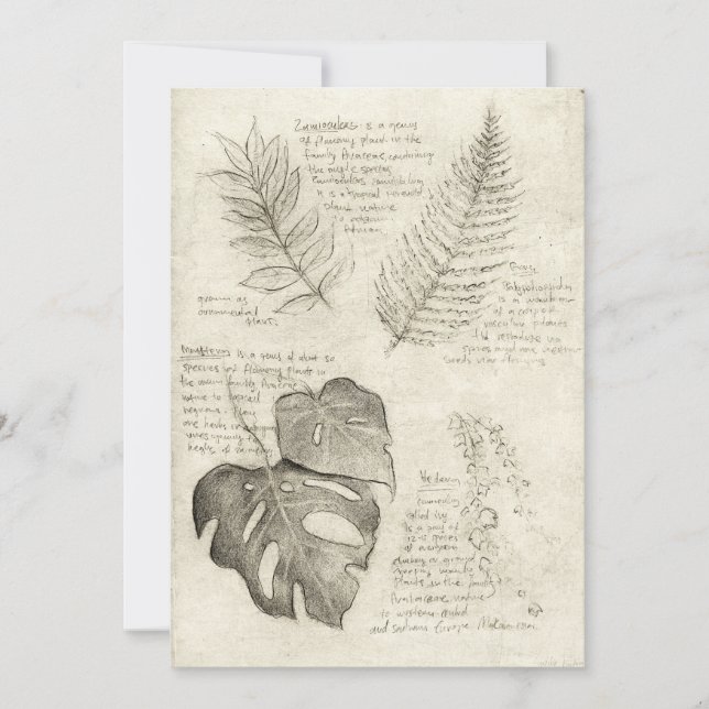 Pflanze Einladung (Vorderseite)