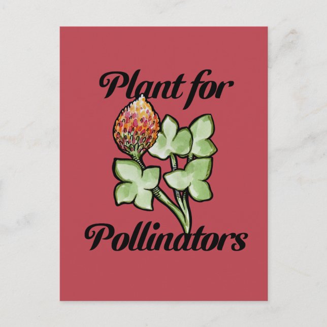 Pflanze für Bestäuber Postkarte (Vorderseite)