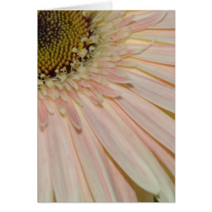 Pflanze für die Blume der Heilung