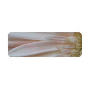 Pflanze für die Heilungs-Blume