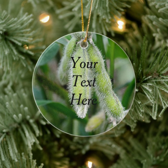 Pflanze für die Sojabohnenzucht Keramikornament (Baum)