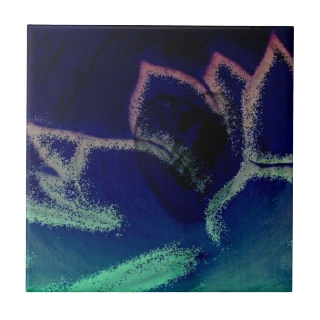 Pflanze für digitale Kunst - Hen und Chicks Fliese (Vorderseite)