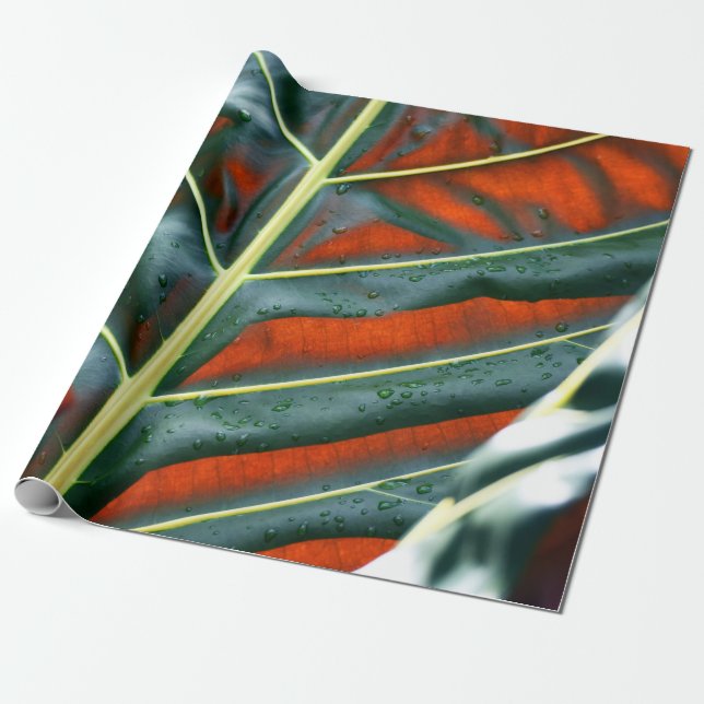 Pflanze Geschenkpapier (Ungerollt)