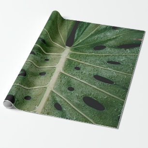 Pflanze Geschenkpapier