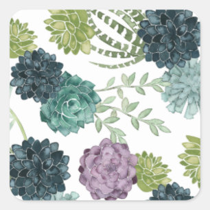 Pflanze Happiness Collection Sukkuläres Muster Quadratischer Aufkleber