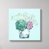 Pflanze Happy Collection | Sukkulturen