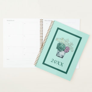 Pflanze Happy Collection Sukkulturen Planer