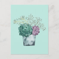 Pflanze Happy Collection | Sukkulturen