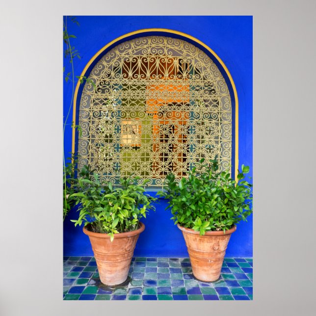 Pflanze im Garten Poster (Vorne)