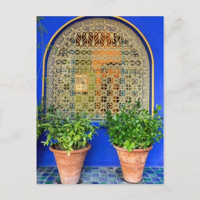 Pflanze im Garten Postkarte (Vorderseite)