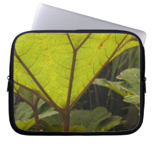 Pflanze in einem botanischen Garten, Ecuador 2 Laptopschutzhülle