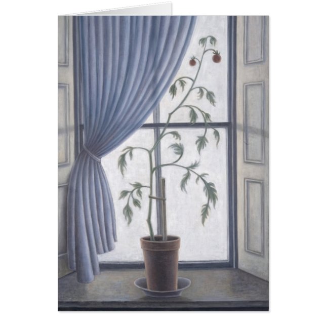 Pflanze in Fenster 2003 (Vorne)