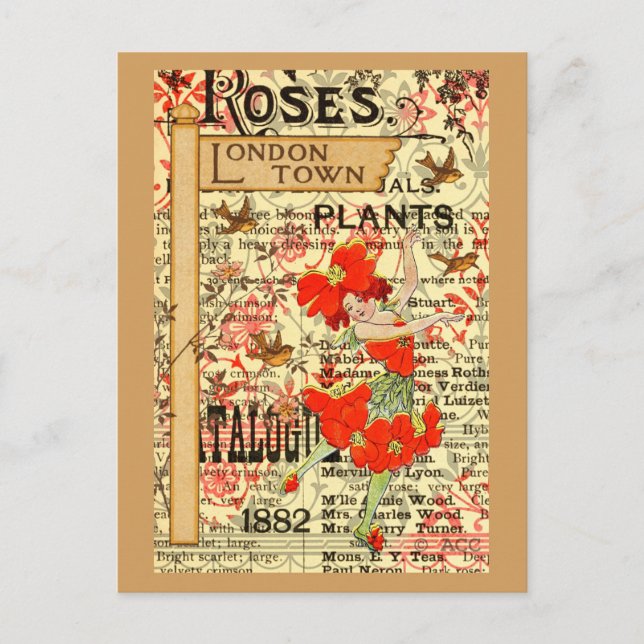 Pflanze in London Postkarte (Vorderseite)