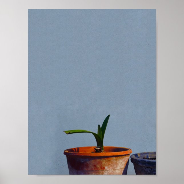 Pflanze in Pot Poster (Vorne)