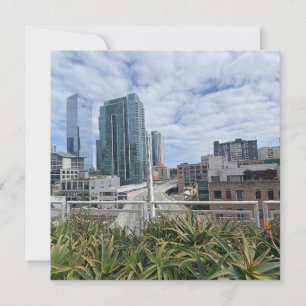 PFLANZE ITINERARY: San Francisco Ankündigung