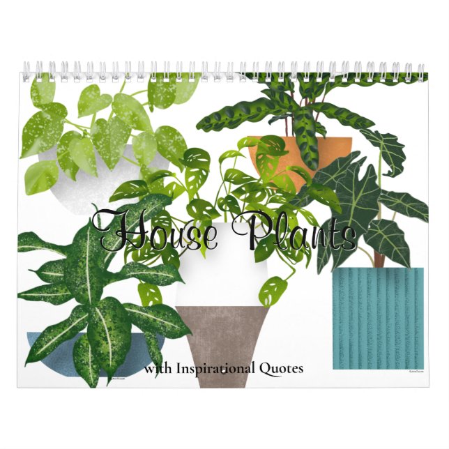 Pflanze Kalender (Titelbild)