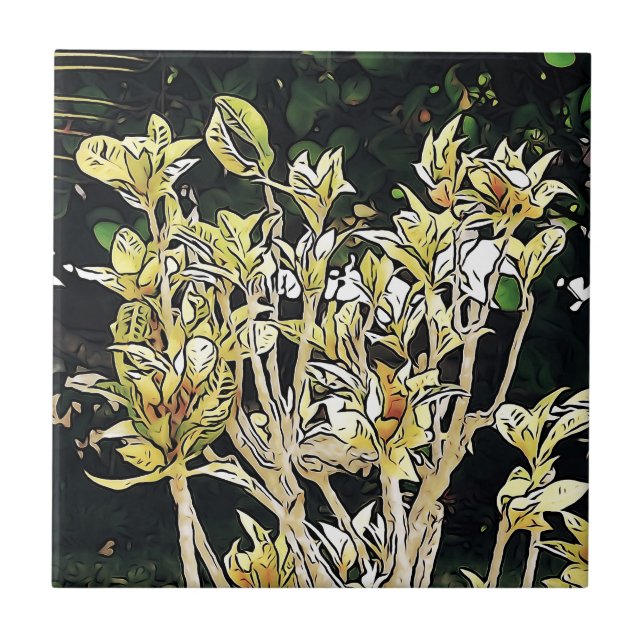 Pflanze Kubas Fliese (Vorderseite)