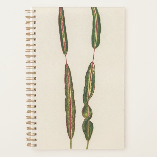 Pflanze Mama Vater Romantischer Gärtner Geschenk 2 Planer (Vorderseite)