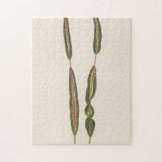 Pflanze Mama Vater Romantischer Gärtner Geschenk Puzzle