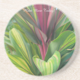 Pflanze Mehr Getränkeuntersetzer