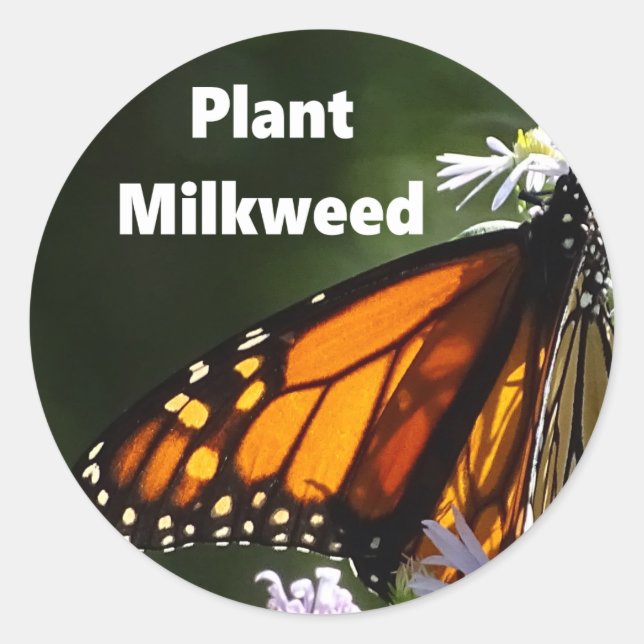 Pflanze Milkweed Runder Aufkleber (Vorderseite)