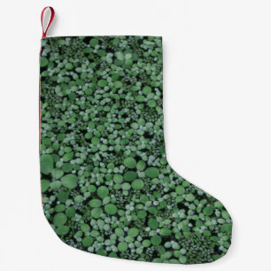 Pflanze mit grüner Blattfarbe Kleiner Weihnachtsstrumpf