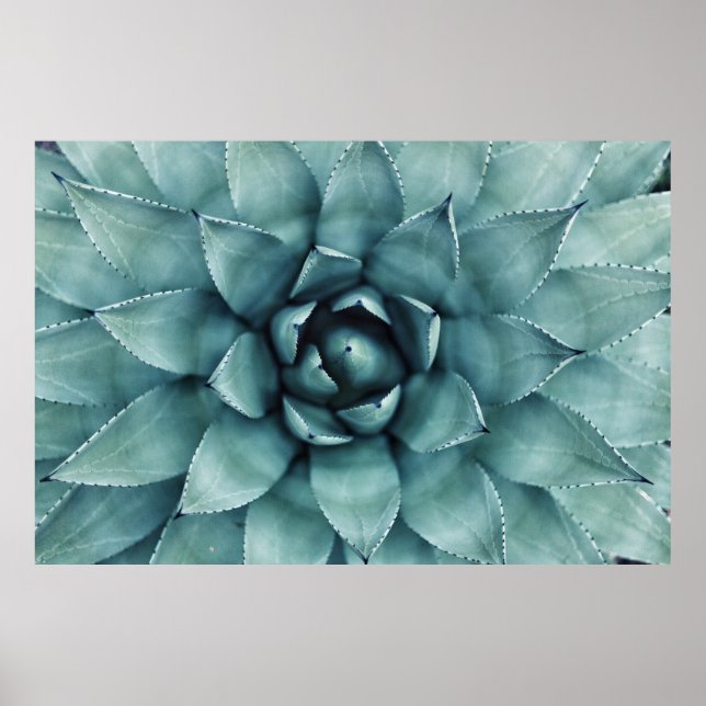 Pflanze mit grüner Blattfarbe Poster (Vorne)