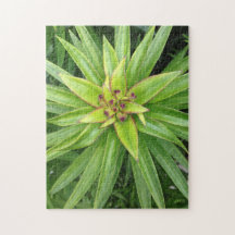 Pflanze mit grüner Spitze Puzzle von Darin Jones