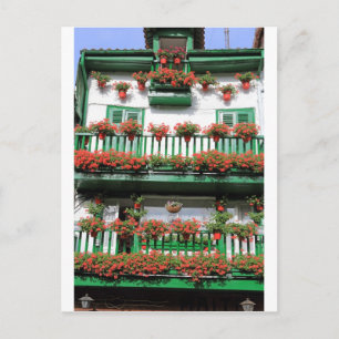 Pflanze mit rotem Blumentopf, malerischer spanisch Postkarte