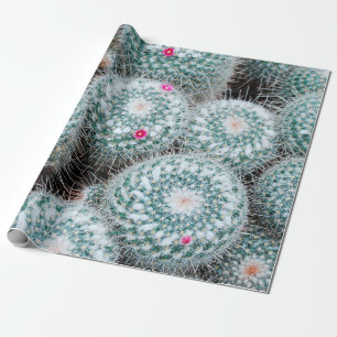 Pflanze mit Tiny Pink Blume Geschenkpapier
