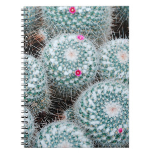 Pflanze mit Tiny Pink Blume Notizblock