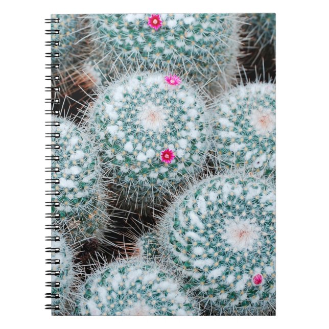 Pflanze mit Tiny Pink Blume Notizblock (Vorderseite)